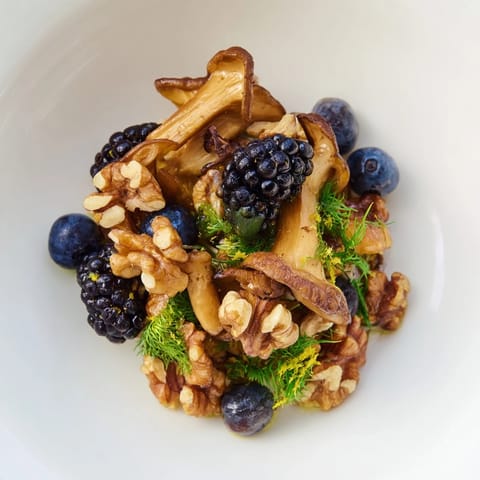 Northwest Forest Forager Delight